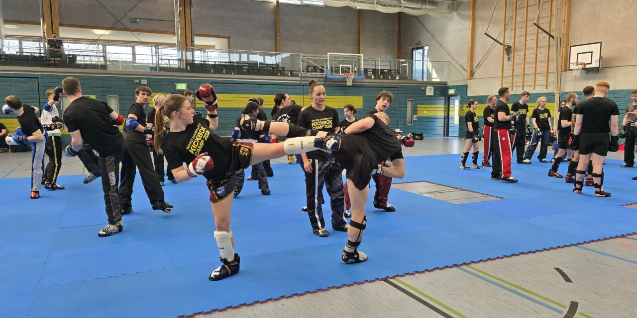 Kickbox Camp 2026 100 Erwachsene
